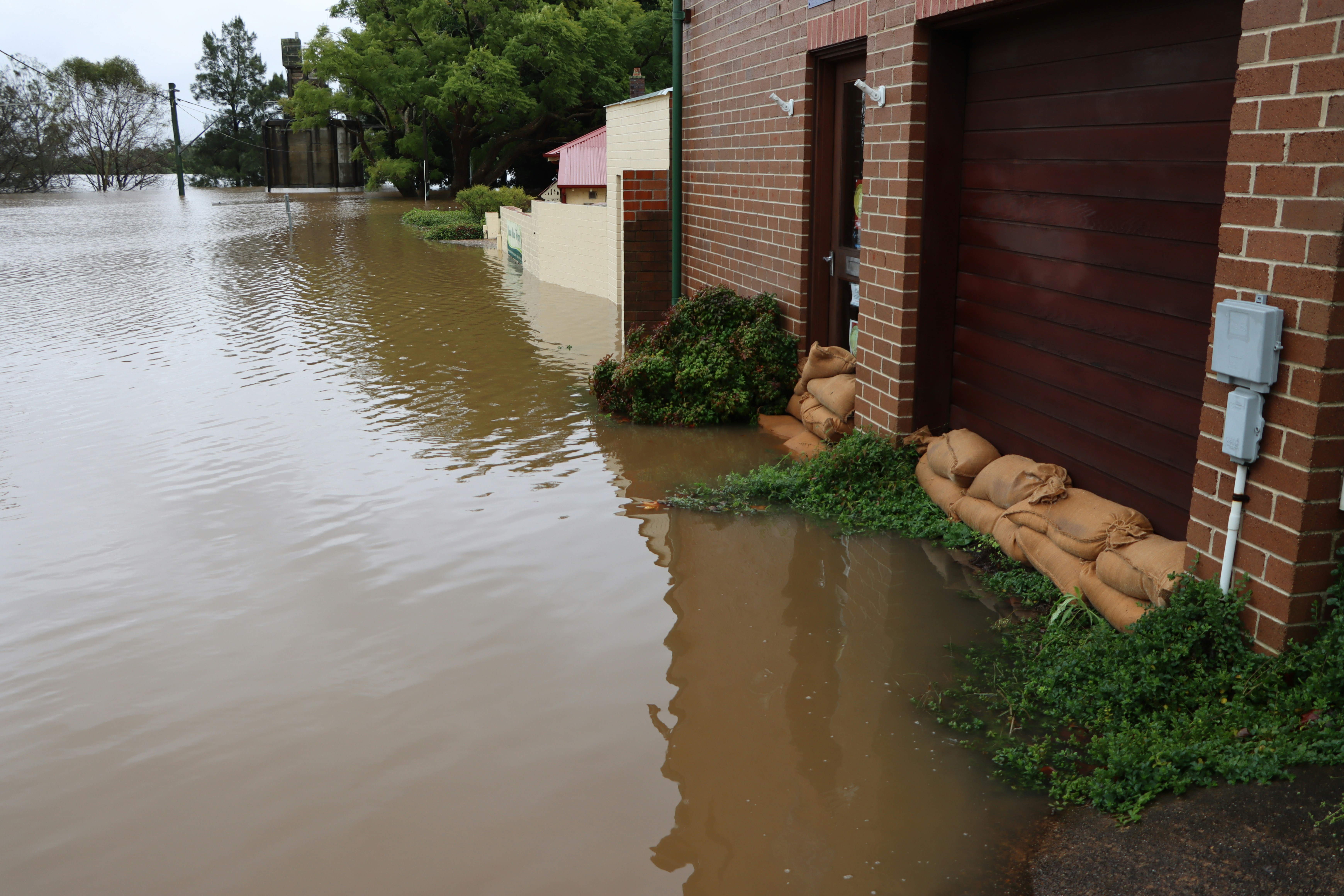 Flooded Basement in Raleigh? Expert Solutions from Best Option Restoration