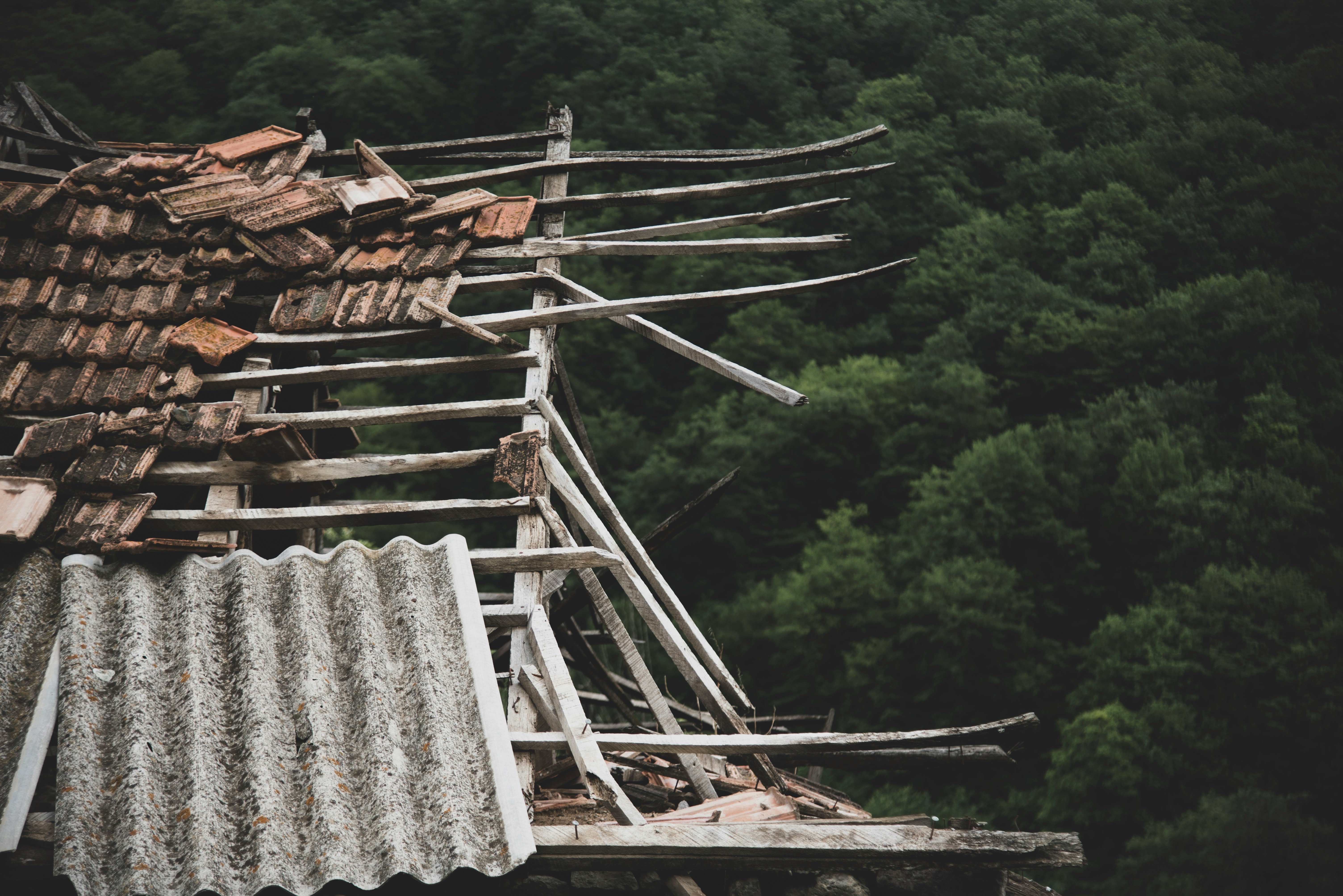 How to Select the Best Restoration Service in Raleigh