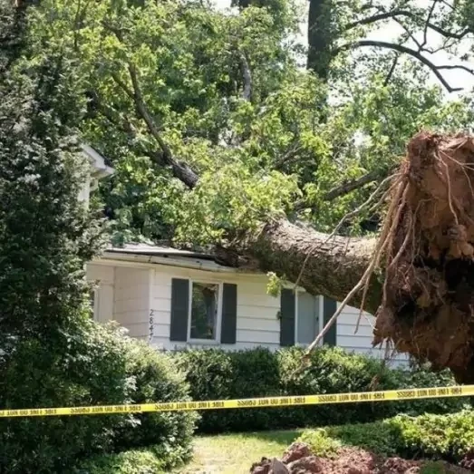 Storm & Wind Damage Repair Services in Raleigh, NC