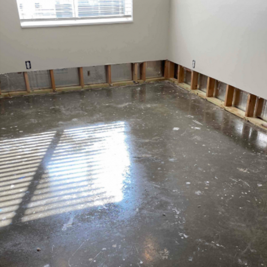 Why Carolina Water Damage Restoration Requires Local Expertise